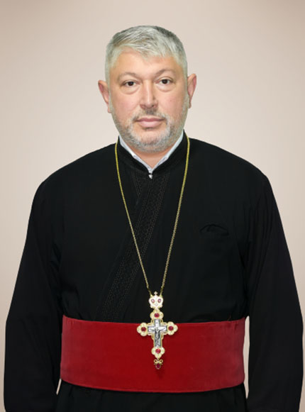 pr ion irinel troaca