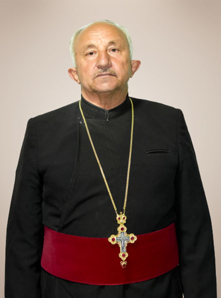 pr iulia vatuiu