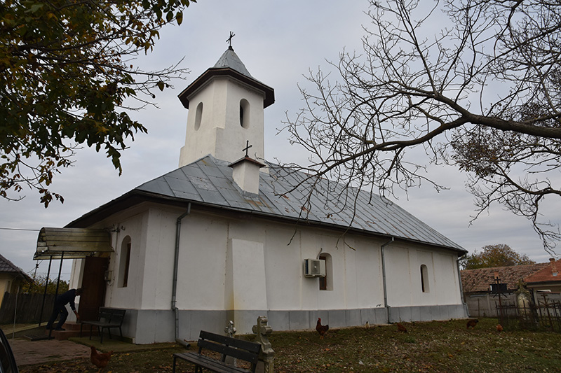 biserica gogosu