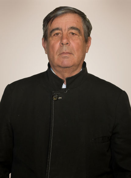 pr nicolae roates