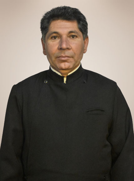 pr dumitru patuleanu