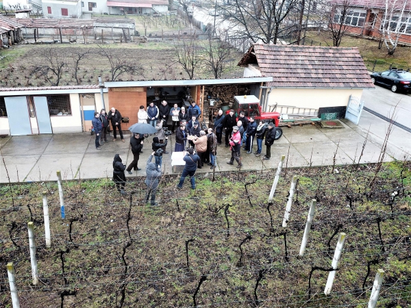 Tradiţii şi obiceiuri de Sfântul Trifon în Districtul Borski