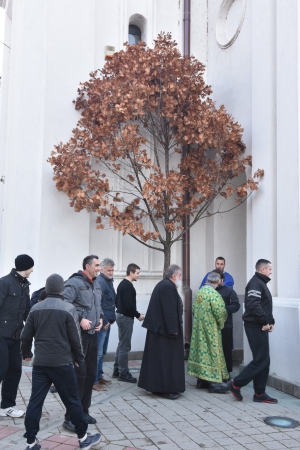 Tăierea stejarului - tradiție a Crăciunului sârbesc